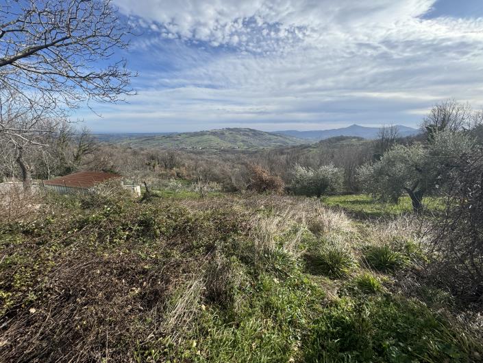 Image No.43-5 Bed Country House for sale