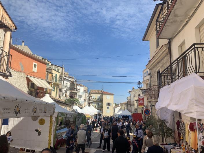 Image No.56-5 Bed Country House for sale