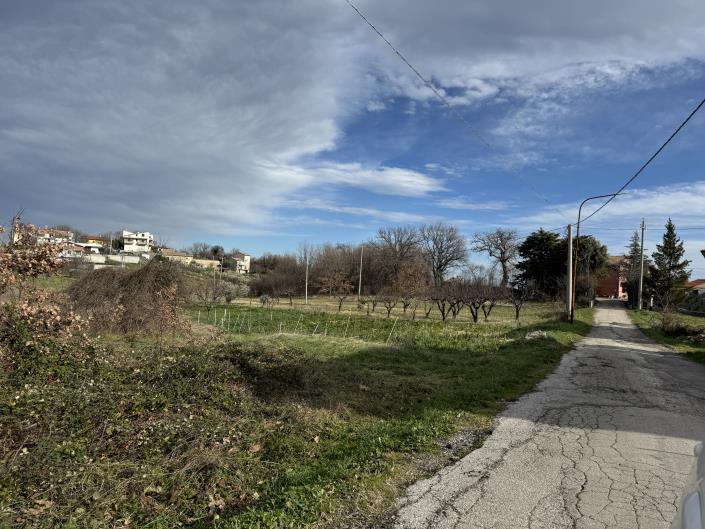 Image No.55-5 Bed Country House for sale