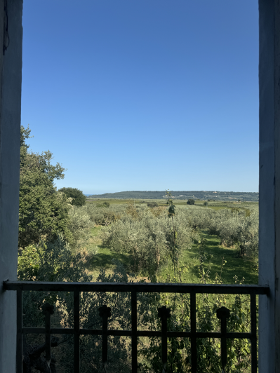 Image No.3-Farmhouse for sale