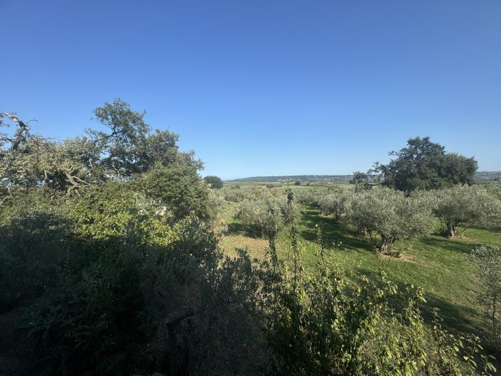 Image No.20-Farmhouse for sale