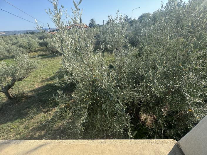 Image No.35-Farmhouse for sale