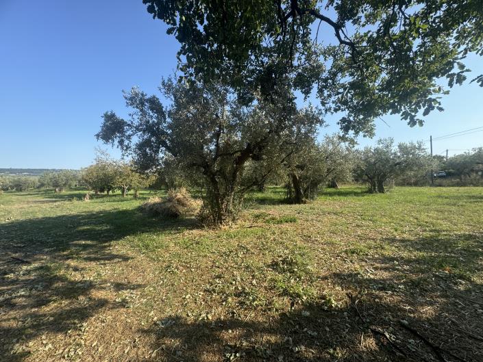 Image No.36-Farmhouse for sale