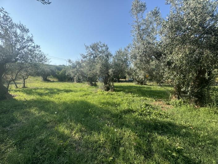 Image No.39-Farmhouse for sale