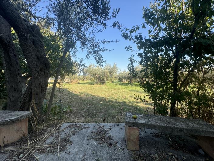 Image No.45-Farmhouse for sale