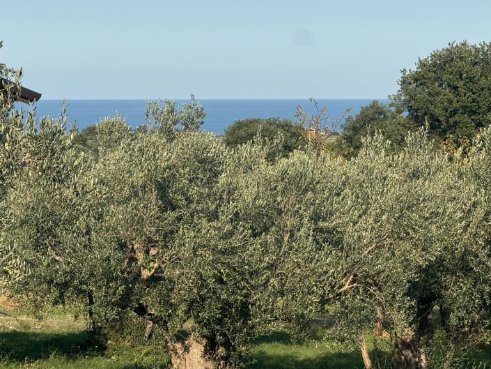 Image No.4-Farmhouse for sale