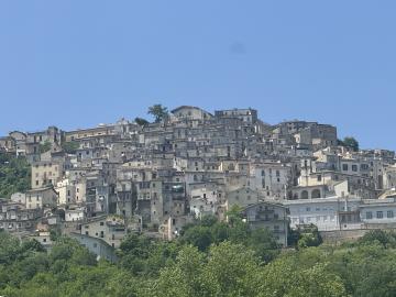 IMG_5198