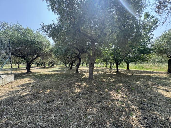 Image No.8-3 Bed Villa / Detached for sale