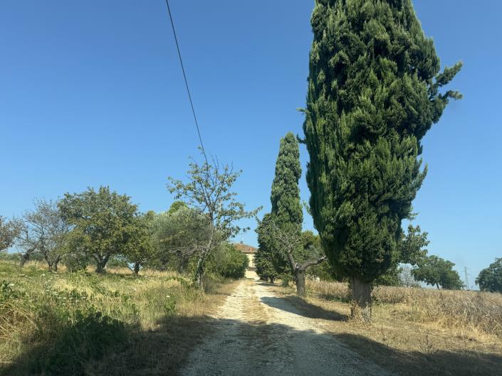 Image No.57-Villa / Détaché de 6 chambres à vendre à Rocca San Giovanni