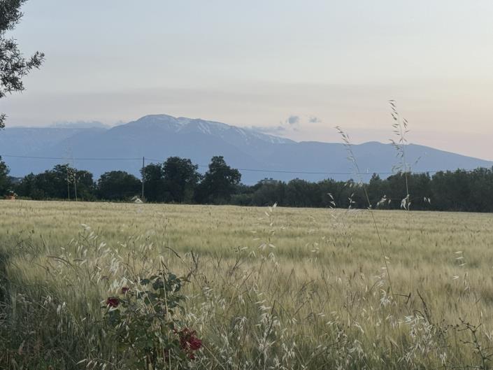 Image No.59-Villa / Détaché de 6 chambres à vendre à Rocca San Giovanni