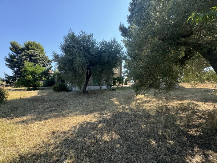 Image No.56-Villa / Détaché de 6 chambres à vendre à Rocca San Giovanni