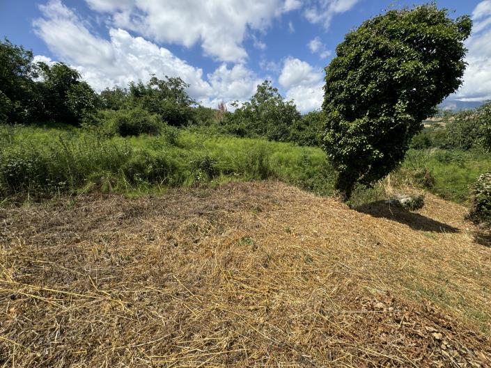 Image No.4-2 Bed Village House for sale