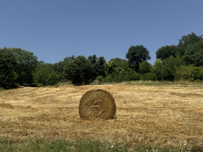 Image No.30-1 Bed Bungalow for sale