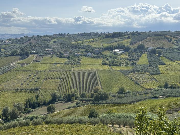 Image No.6-3 Bed House for sale