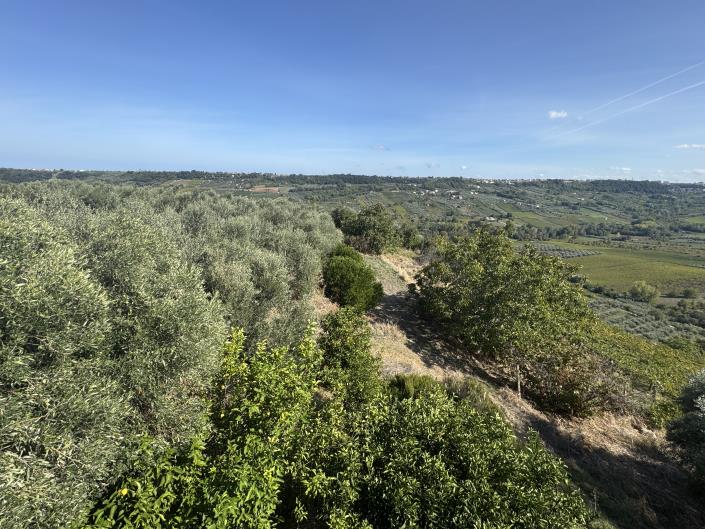 Image No.48-3 Bed House for sale