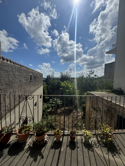 Image No.29-Appartement de 1 chambre à vendre à Paglieta