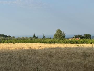 IMG_6571