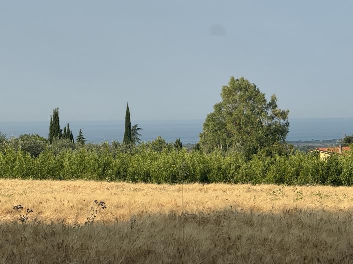 Image No.1-Land for sale
