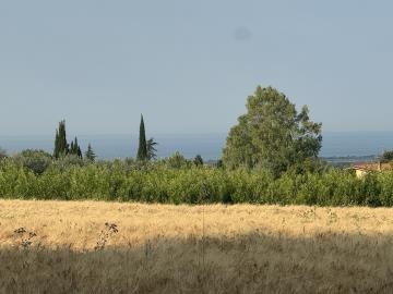 IMG_6572
