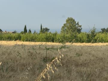IMG_6578