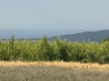 IMG_6583