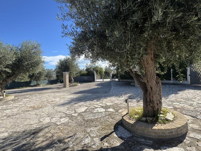 Image No.4-Maison de 2 chambres à vendre à Santa Maria Imbaro