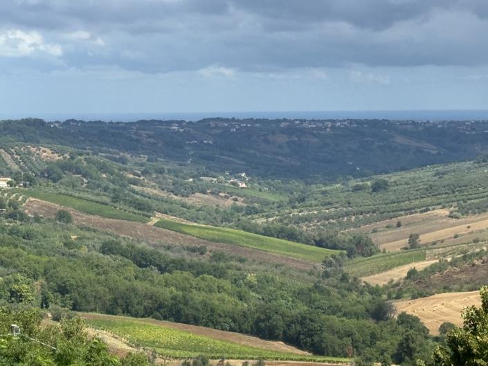 Image No.2-Appartement de 3 chambres à vendre à Castél Frentano