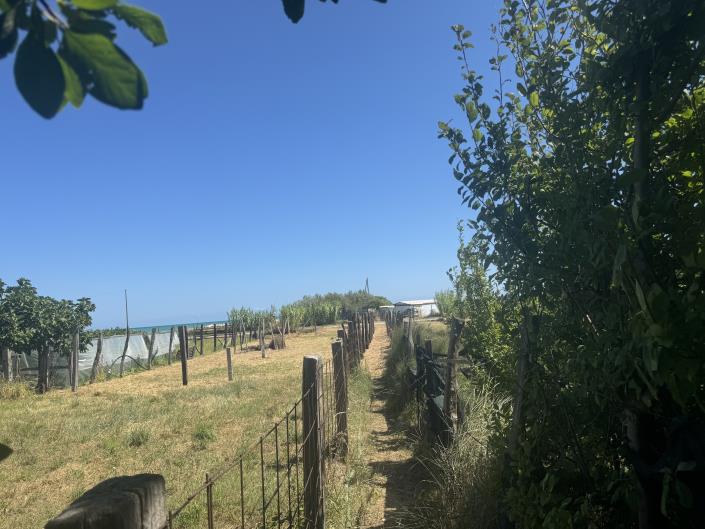 Image No.41-Land for sale