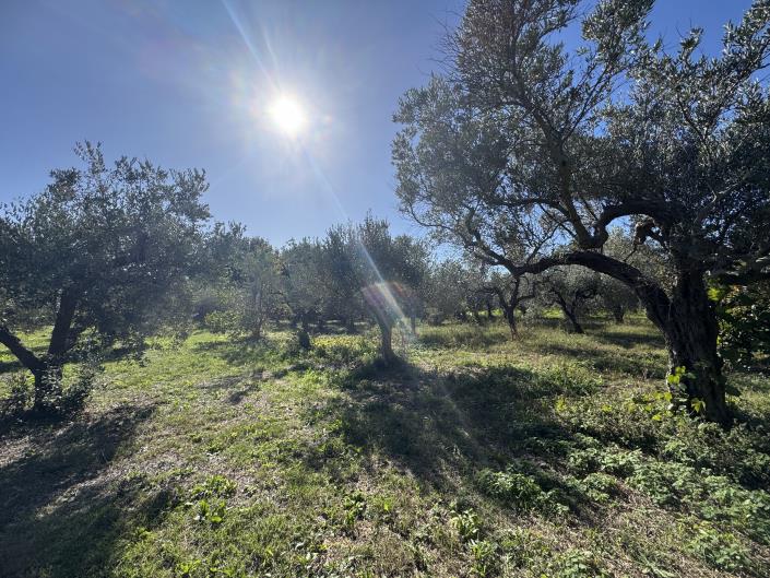 Image No.41-2 Bed Farmhouse for sale