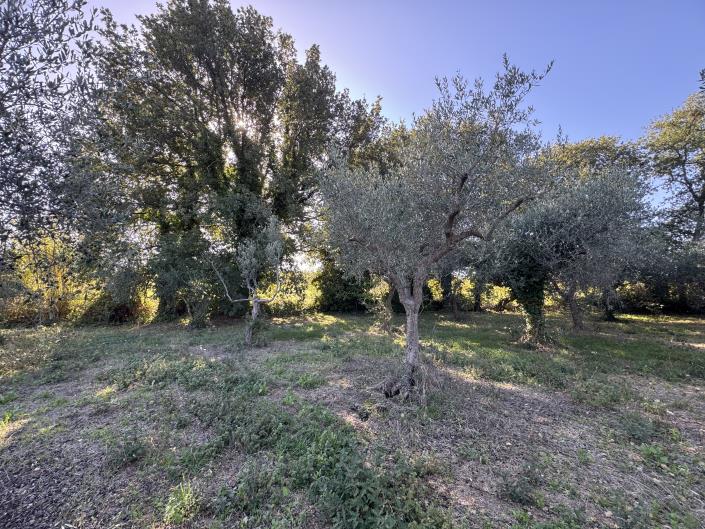 Image No.57-2 Bed Farmhouse for sale