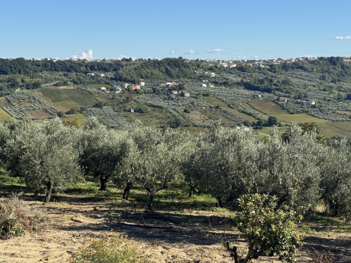 Image No.7-Villa / Detached for sale