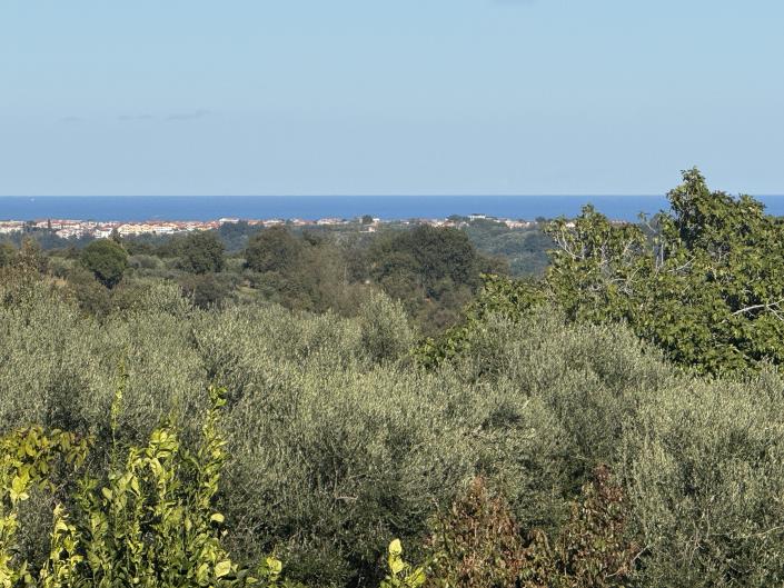 Image No.14-Villa / Detached for sale