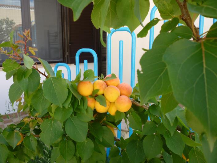 Image No.25-5 Bed Villa / Detached for sale