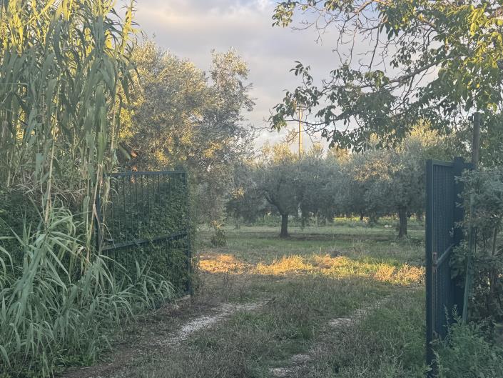 Image No.57-Ferme de 2 chambres à vendre à Lanciano
