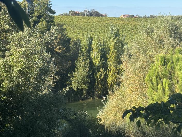 Image No.23-Farmhouse for sale