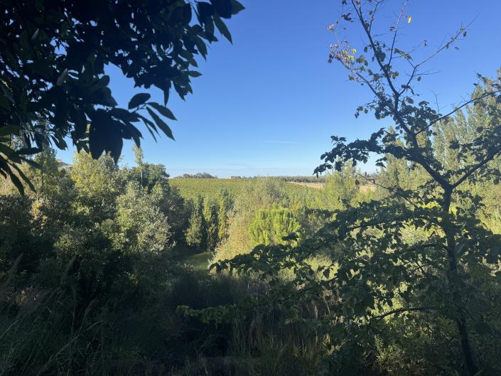 Image No.25-Farmhouse for sale