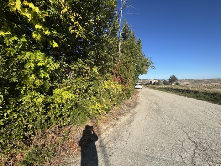 Image No.32-Farmhouse for sale