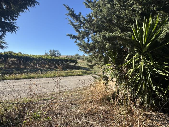 Image No.35-Farmhouse for sale