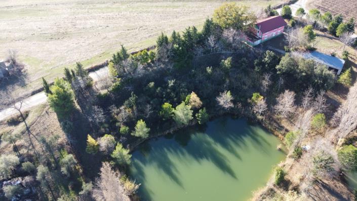 Image No.3-Farmhouse for sale