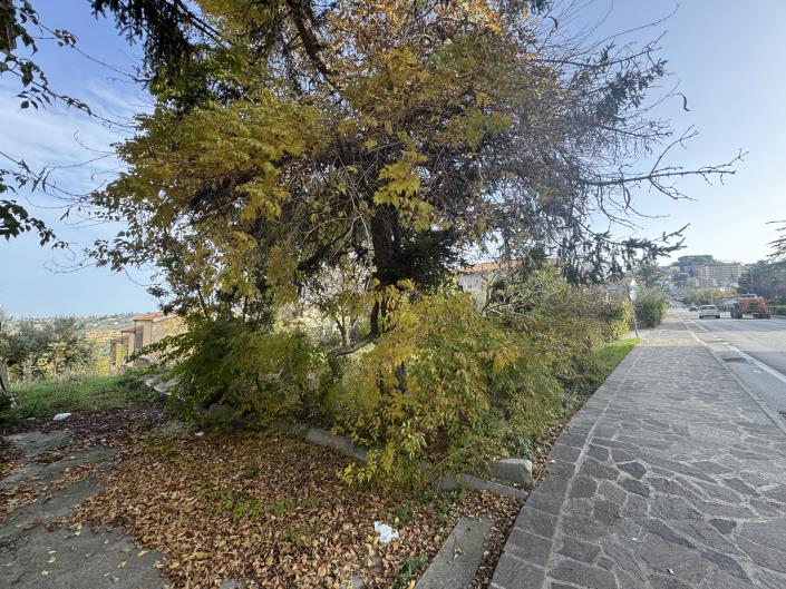 Image No.4-2 Bed Villa / Detached for sale