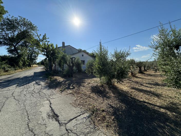 Image No.41-1 Bed Farmhouse for sale