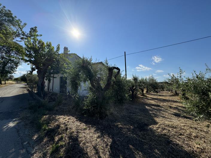 Image No.4-1 Bed Farmhouse for sale