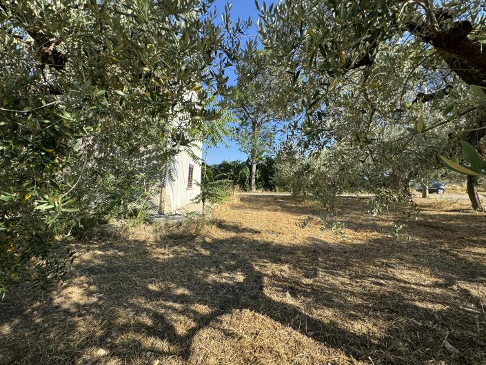 Image No.47-1 Bed Farmhouse for sale