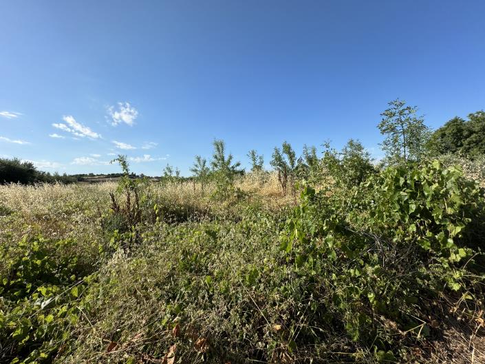 Image No.45-1 Bed Farmhouse for sale