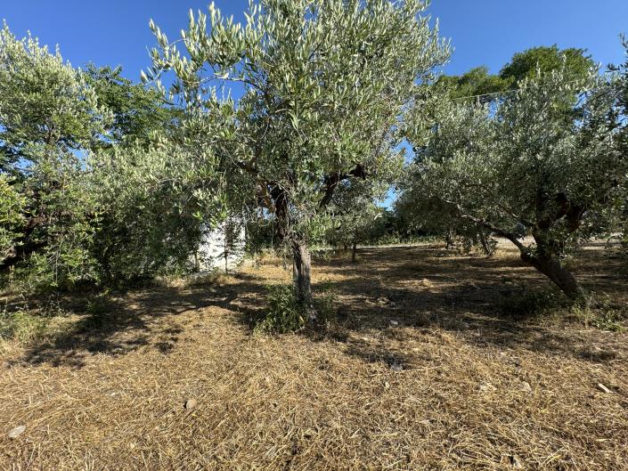 Image No.46-1 Bed Farmhouse for sale