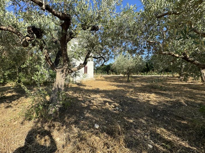 Image No.43-1 Bed Farmhouse for sale