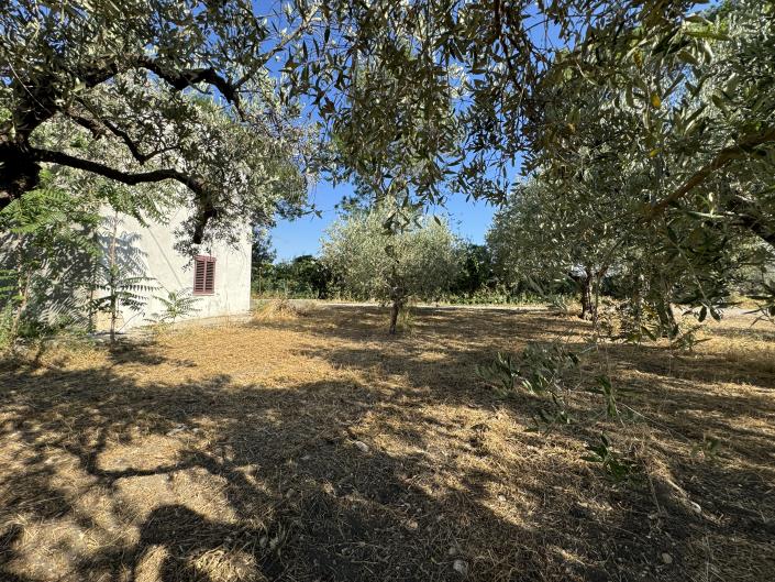 Image No.5-1 Bed Farmhouse for sale