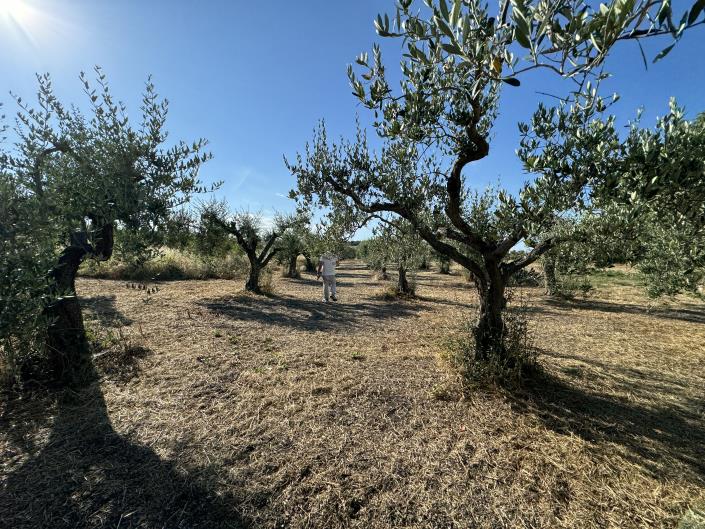 Image No.25-1 Bed Farmhouse for sale