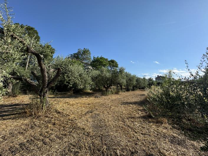 Image No.28-1 Bed Farmhouse for sale