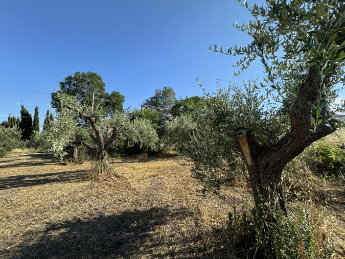 Image No.30-1 Bed Farmhouse for sale